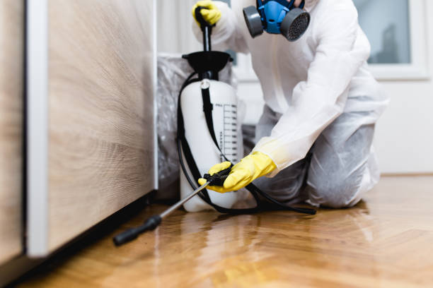 Wildlife Control Services in Homewood, AL