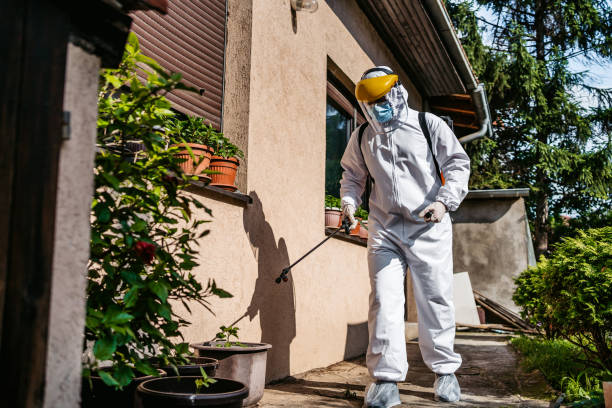 Best Insect Control  in Homewood, AL