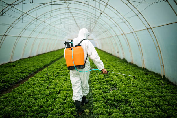 Reliable Homewood, AL Pest Control Solutions