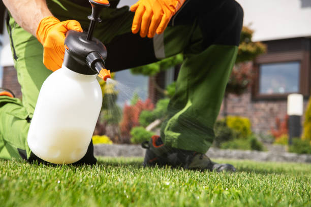 Best Residential Pest Control  in Homewood, AL