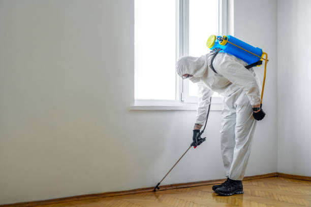 Best Emergency Pest Control  in Homewood, AL