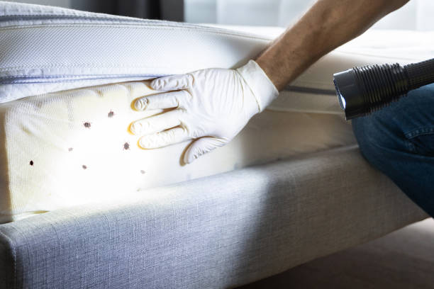 Best Affordable Pest Control Services  in Homewood, AL