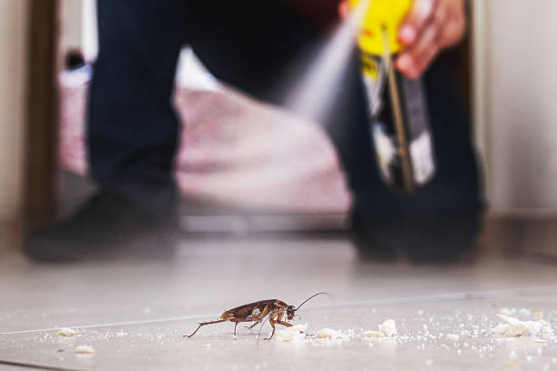 Insect Control in Homewood, AL