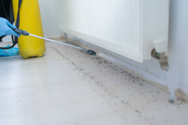Best Commercial Pest Control Services  in Homewood, AL