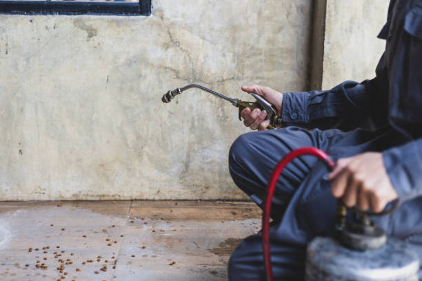 Pest Control for Restaurants in Homewood, AL